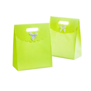Custom die cut handle paper bag light green color inspiration by qualitycustomboxes.com