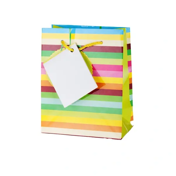 Custom full color paper bag multi color striped with hang tag inspiration by qualitycustomboxes.com